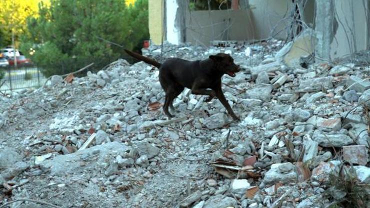 Ateş, 4 bloklu sitenin enkazında eğitiliyor