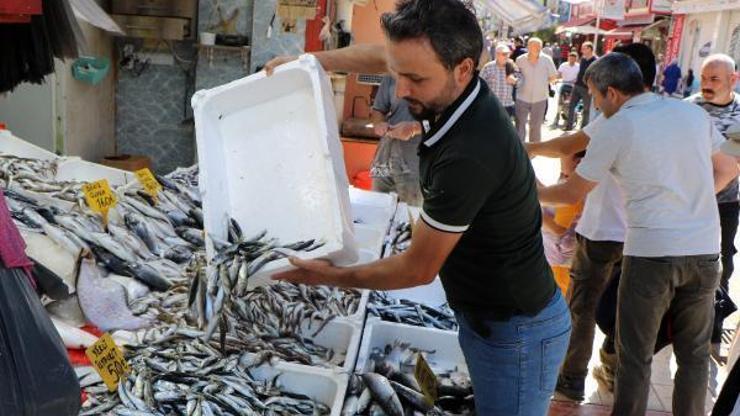 Balık tezgahları hamsi ile bereketlendi