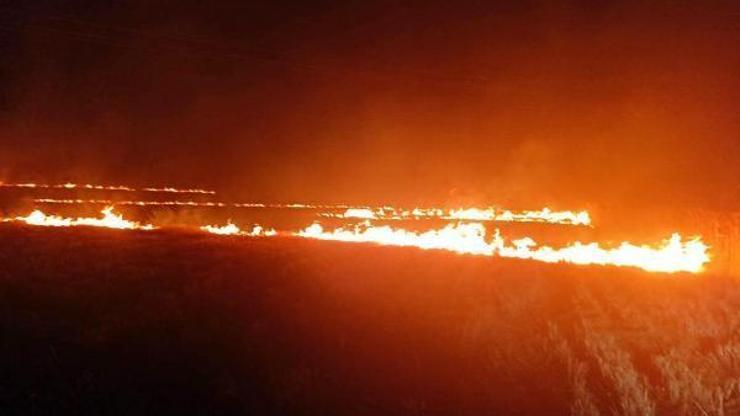 Malkarada 40 dönüm alanda anız yangını