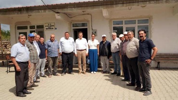 Edremitten Çanakkaleye 250 zeytin fidanı