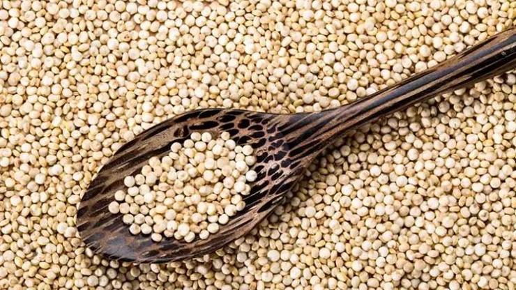 Protein deposu, veganların ilk tercihi... Demir, fosfor, çinko ne ararsan var