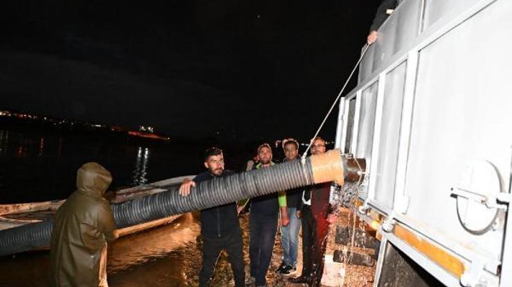 Kayseride 1 milyon alabalık yavrusu barajlara bırakıldı