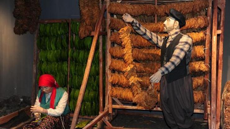 Samsun’da müzeleri 413 bin kişi kişi ziyaret etti