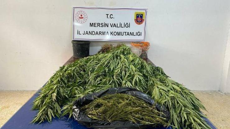 Mersinde uyuşturucu operasyonuna 18 gözaltı