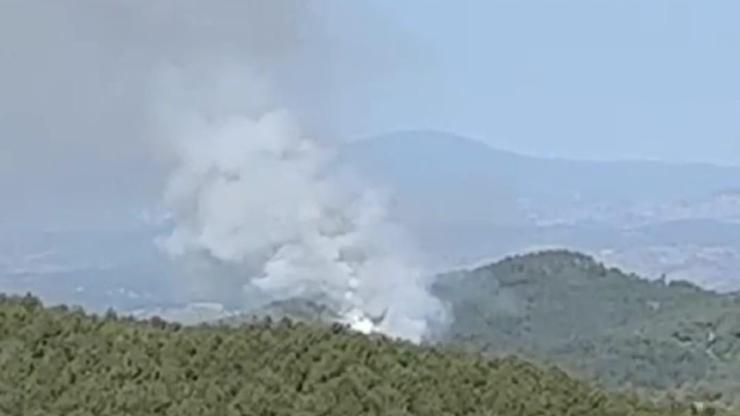 Kütahyada orman yangını