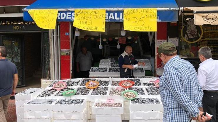 Rize’de hamsi bereketi