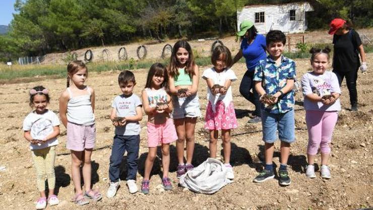 Bornovada kışlık sebze için yerel tohum bahçesi oluşturuldu
