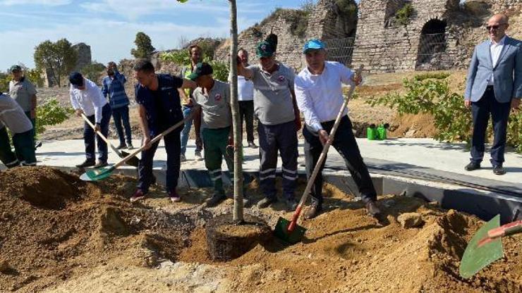 Birleşmiş Milletler Gönüllülerinden oluşan heyet Fatih’te ağaç dikti