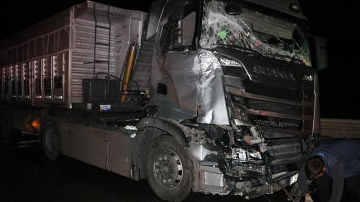 Otobüs ile TIR çarpıştı: 4 yaralı