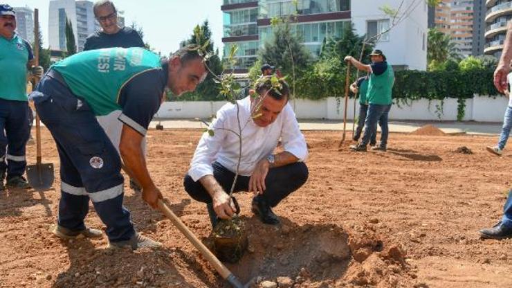 Başkan Özyiğit: Bir metre asfalt yapıyorsak onun yerine de beş ağaç dikmeliyiz