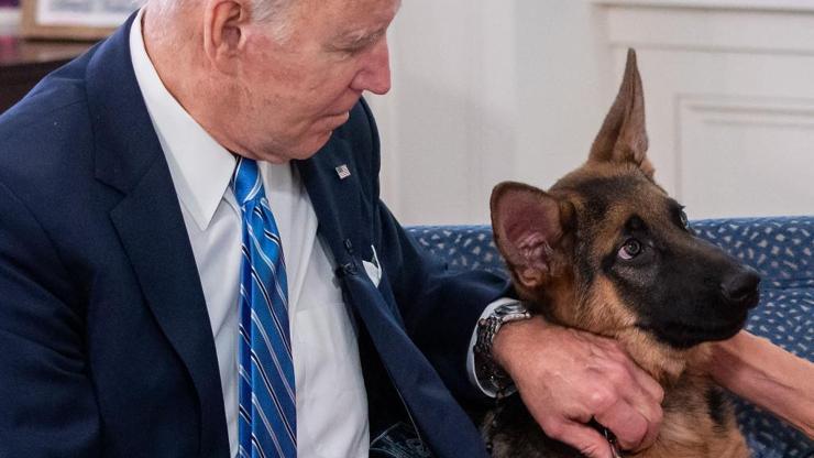 Biden’ın köpeği huzurlu değil