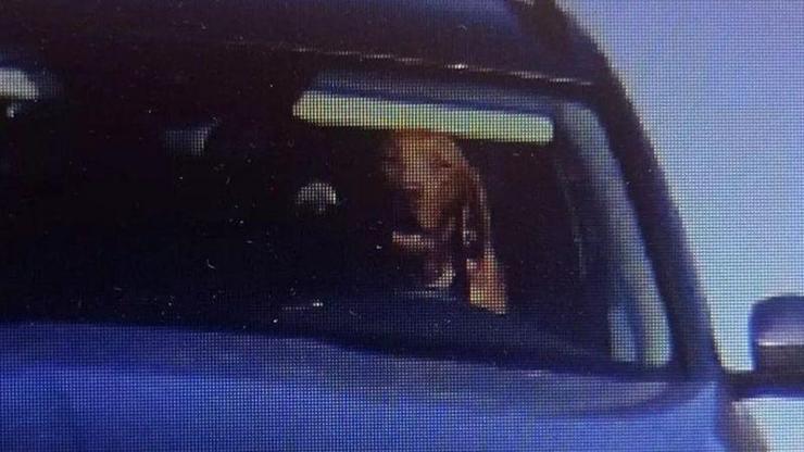 Hız kamerasında inanılmaz görüntü Direksiyonda köpek var