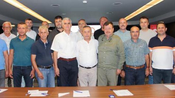 Zeytinde rekolte kaybı