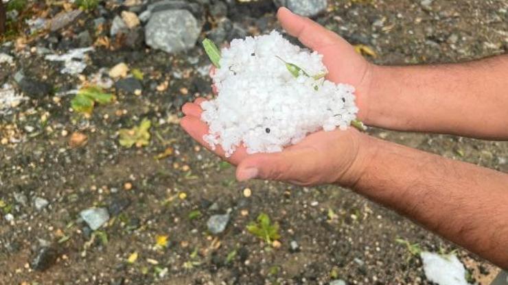 Kilis’te, dolu yağışı etkili oldu