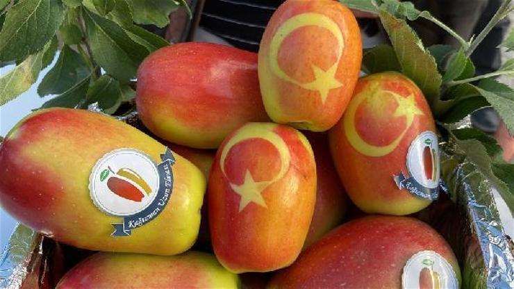 Karsta Uzun Elma Festivali