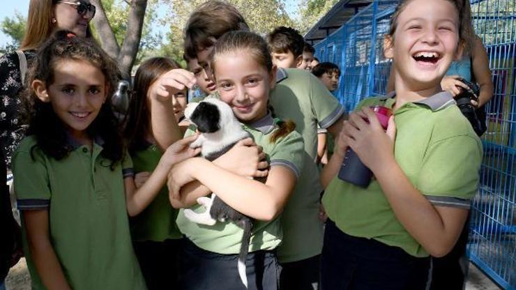 Kuşadasında minikler can dostlarla bir araya geldi
