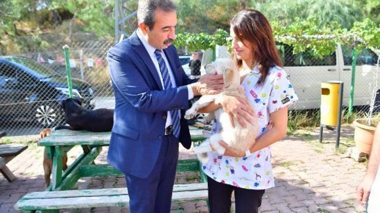 Çetin: Can dostlarımıza sahip çıkıyoruz