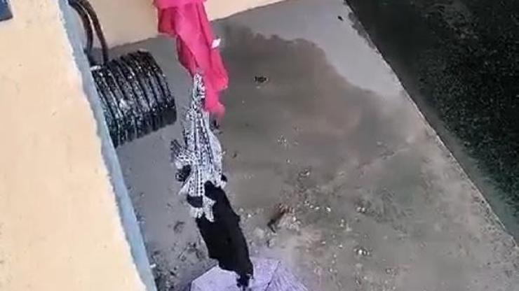 Dereye düşen kedi şemasiye ile kurtarıldı