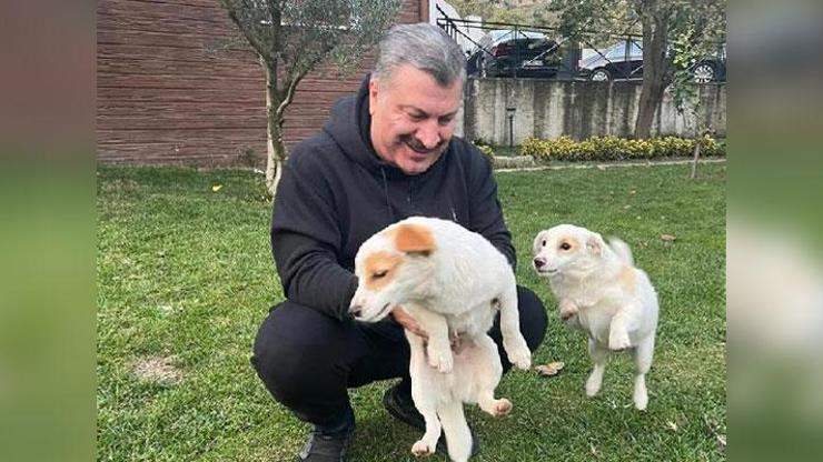 Bakan Kocadan 4 Ekim Dünya Hayvanları Koruma Günü paylaşımı