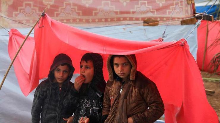 Gazzeden, Mısıra geçen 87 Türk ve KKTC vatandaşı Türkiyeye getirilecek
