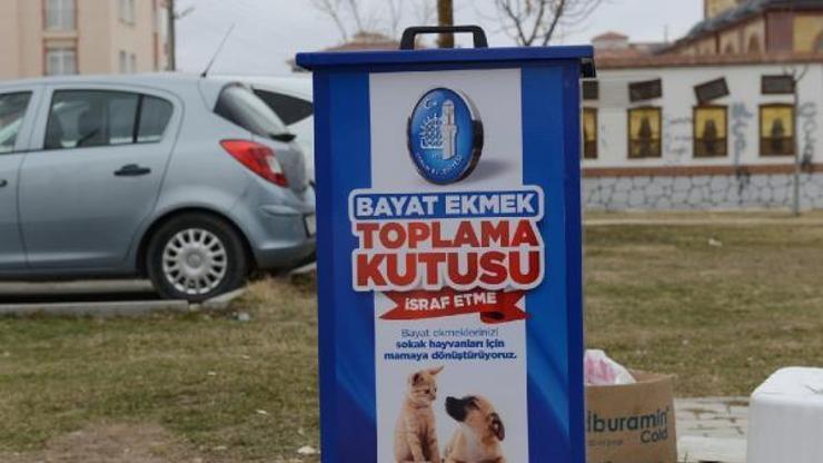 Bayat ekmekler sokak hayvanlarına yiyecek oldu