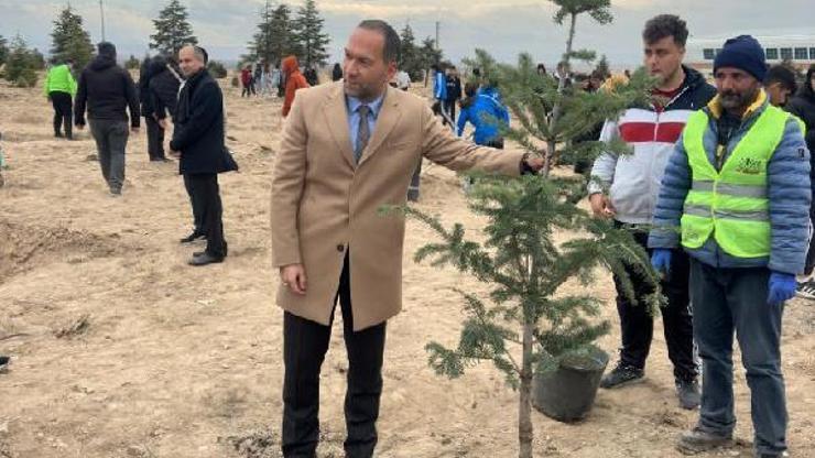 Niğde Belediyesi, öğretmenler adına fidan dikecek