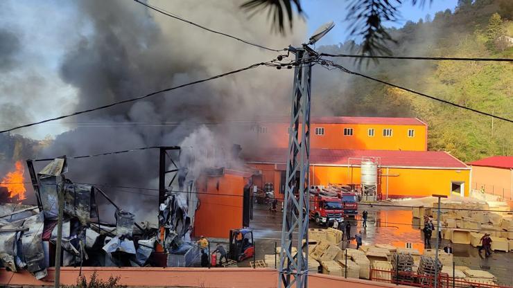 Son dakika... Trabzonda balık fabrikasında yangın
