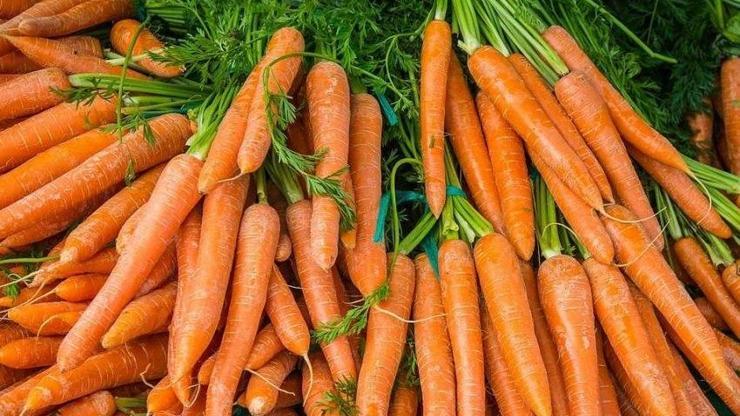 Tok tutuyor: Havuç Kilo Aldırır Mı Havuç Kilo Yapar Mı