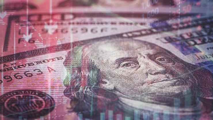 Dolar 2024te sürpriz yapar mı Ekonomistlerden akıntının karşısında tez