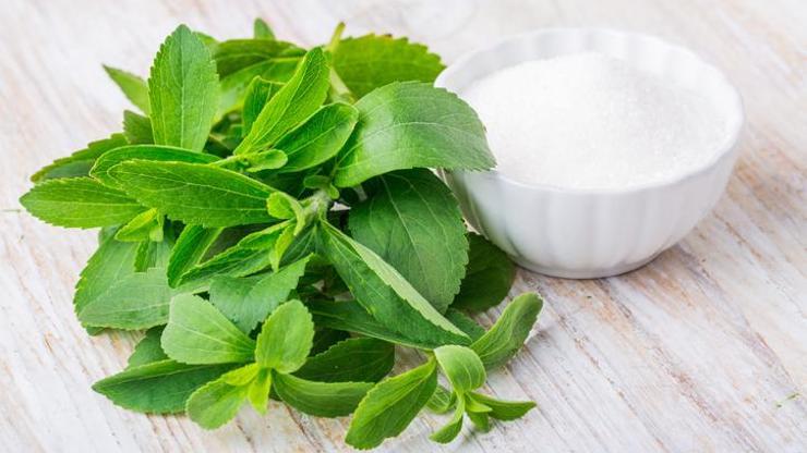 Stevia Bitkisi Nedir, Faydaları Nelerdir Stevia Nerelerde Kullanılır