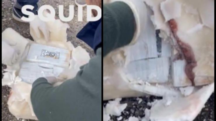 Uyuşturucu tacirlerinden akılalmaz yöntem: Dondurulmuş balığın içinden çıktı