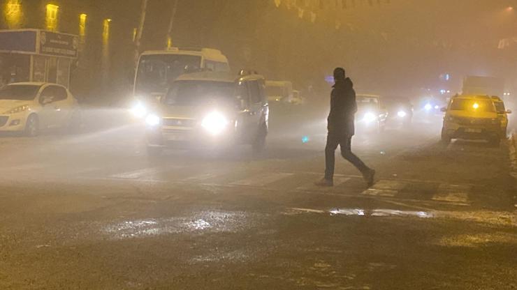 Ardahanda soğuk hava; ağaçlar kırağı tuttu