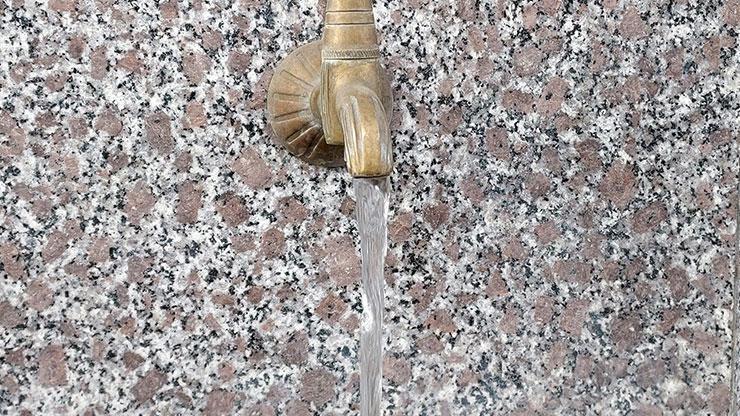 148 kişi zehirlenip 1 kişi hayatını kaybetmişti: Sebebi tavuk dışkısı mı
