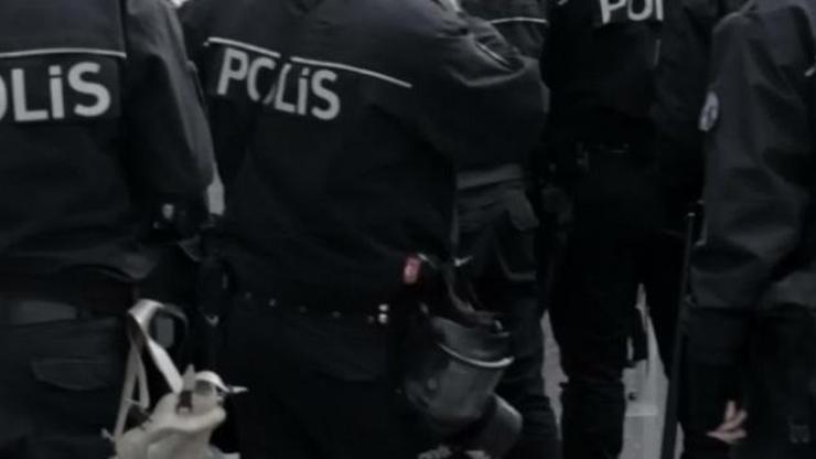 SON DAKİKA: 3 ilde Bozdoğan-14 operasyonları: 94 şüpheli yakalandı