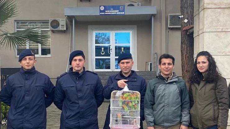 Manisada satışı yasak 14 cennet papağanı ele geçirildi