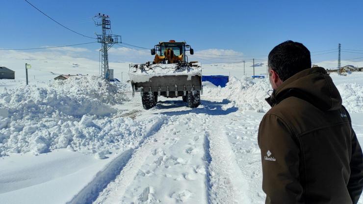 Karsta kar kaplanlarının 2 bin 300 rakımda zorlu mücadelesi