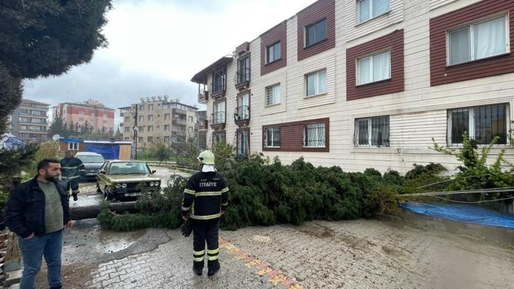 Antakya’da kuvvetli fırtına ağacı yola devirdi