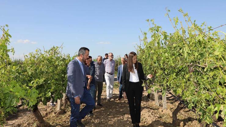 Şehzadeler Belediye Başkanı Durbaydan üreticiye ziyaret