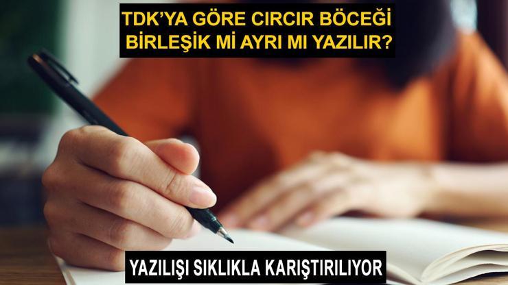 Cırcır böceği nasıl yazılır TDK cırcır böceği birleşik mi, ayrı mı