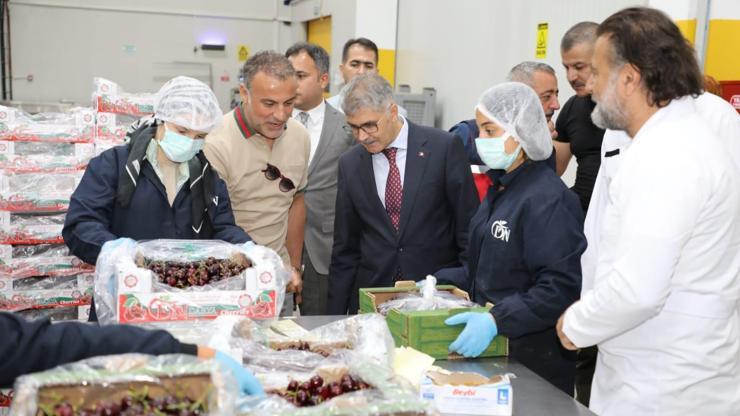Vali Çelik: Niğdede kiraz üretimi artıyor