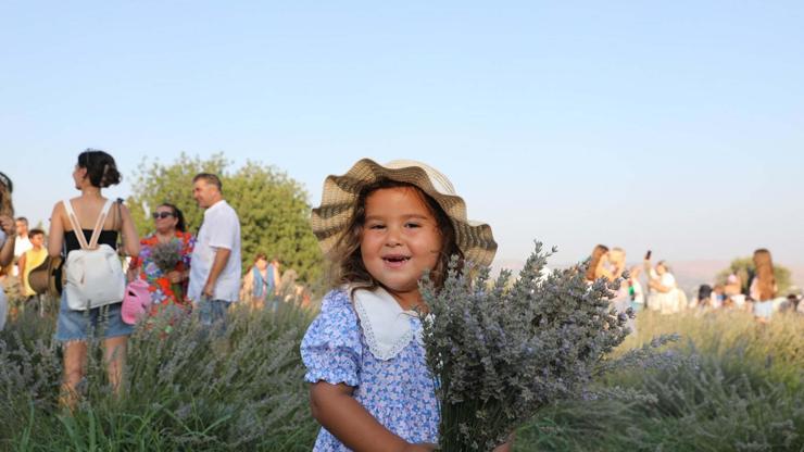 Seferihisarda mis kokulu festival