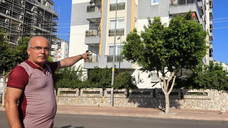 Ağacın içinden geçen elektrik telleri korkusu