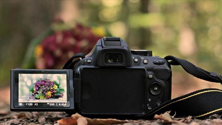 Görsel içerik şirketleri Getty Images ve Shutterstock tek çatı altında birleşiyor