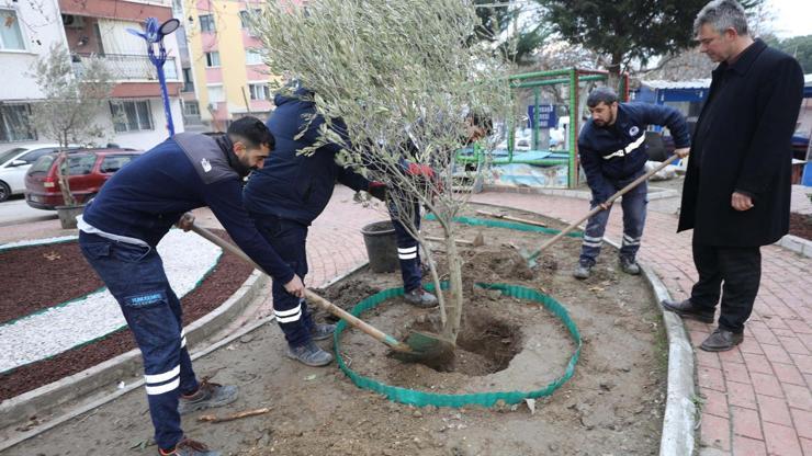 Yunusemre Belediyesinden kuru peyzaj çalışması