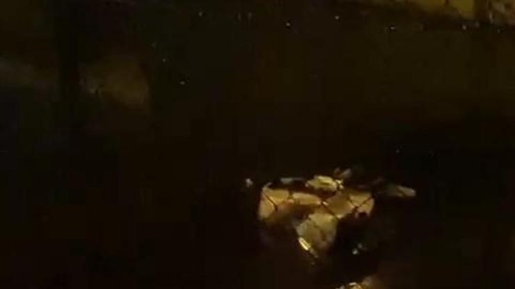 Kuzey Marmara Otoyolunda meydana gelen kazada hafriyat kamyonu dereye uçtu