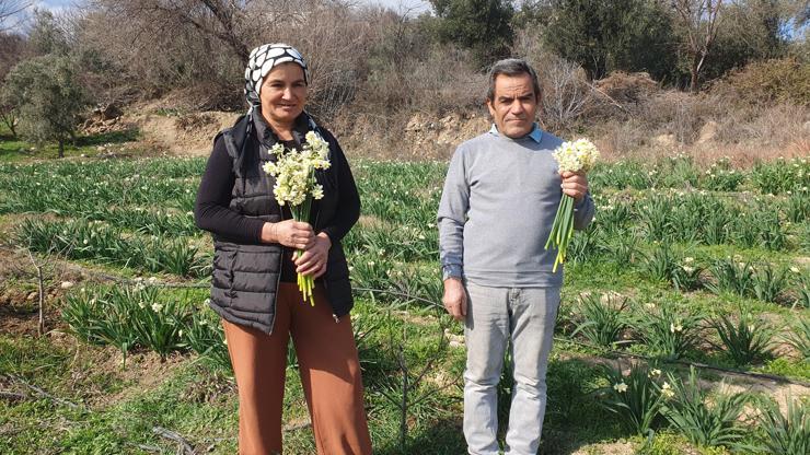 Kadın üretici, nergislerine pazar arıyor
