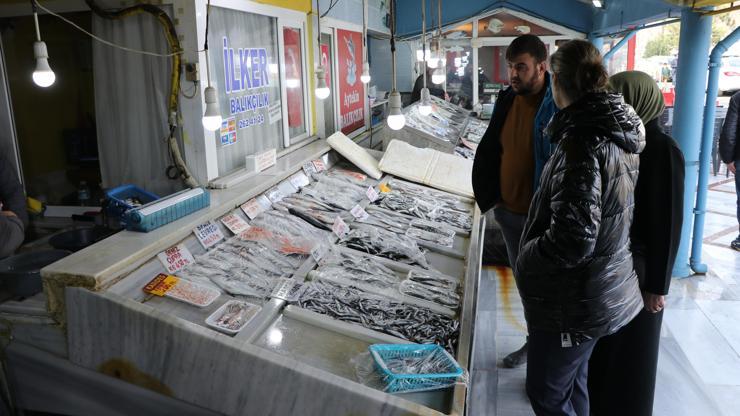 Tekirdağlı balıkçıların ağına en çok istavrit takılıyor
