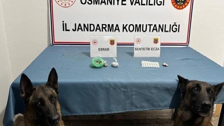 Osmaniyede jandarma son bir haftada 128 şüpheliyi yakaladı