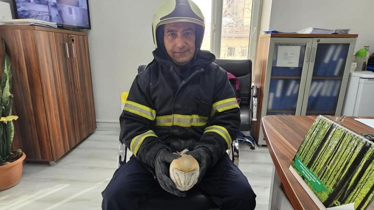 Baykuş, su saatinde sıkışarak mahsur kaldı