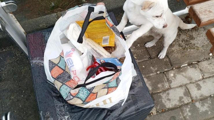 Yavru köpeği, sahiplenin notuyla sokağa terk ettiler